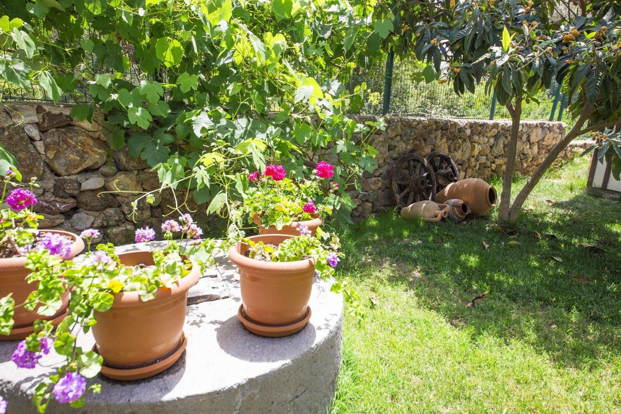 Bal Badem Bungalow Datça Esterno foto