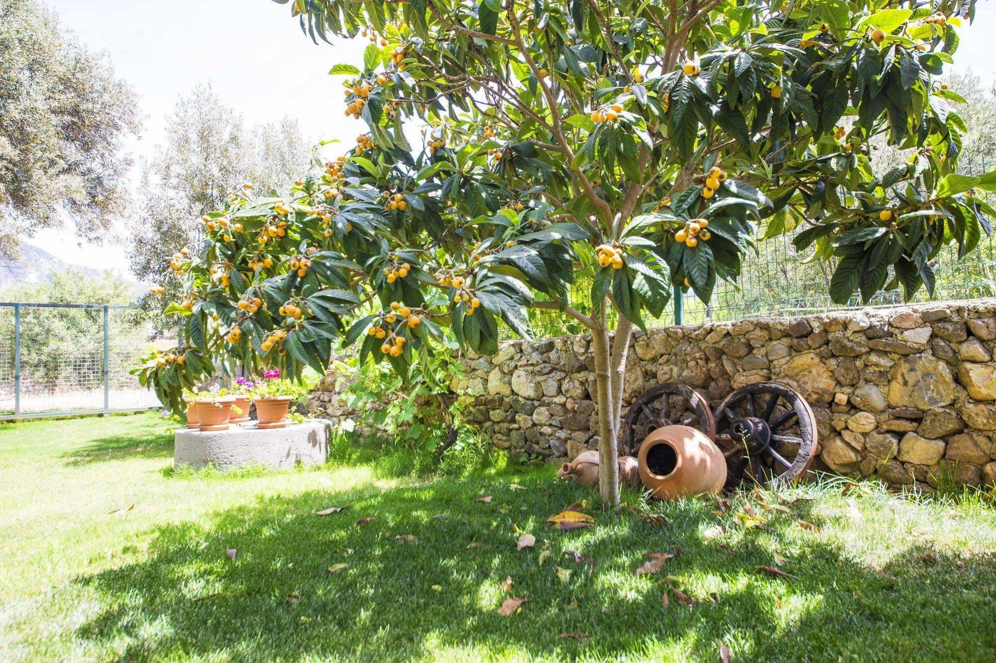 Bal Badem Bungalow Datça Esterno foto